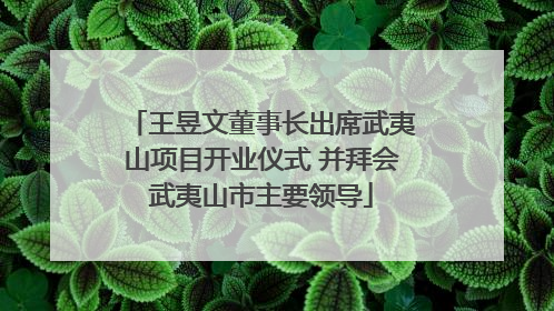 王昱文董事长出席武夷山项目开业仪式 并拜会武夷山市主要领导