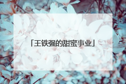 王铁强的甜蜜事业