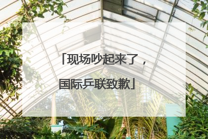 现场吵起来了，国际乒联致歉