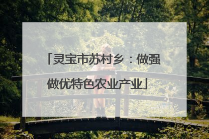 灵宝市苏村乡：做强做优特色农业产业