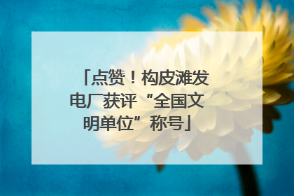 点赞！构皮滩发电厂获评“全国文明单位”称号