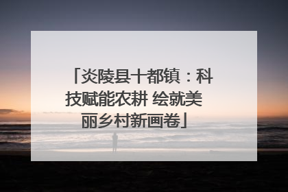 炎陵县十都镇：科技赋能农耕 绘就美丽乡村新画卷