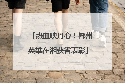 热血映丹心！郴州英雄在湘获省表彰