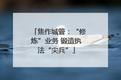 焦作城管：“修炼”业务 锻造执法“尖兵”