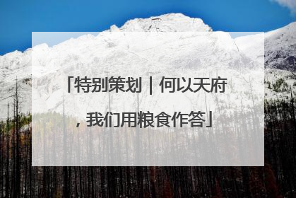 特别策划｜何以天府，我们用粮食作答