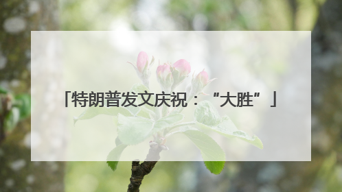 特朗普发文庆祝：“大胜”