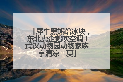犀牛黑熊蹭冰块，东北虎企鹅吹空调！武汉动物园动物家族享清凉一夏