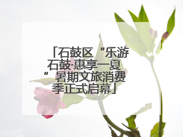 石鼓区“乐游石鼓·惠享一夏”暑期文旅消费季正式启幕