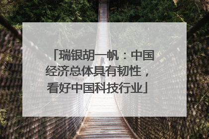 瑞银胡一帆：中国经济总体具有韧性，看好中国科技行业