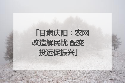 甘肃庆阳：农网改造解民忧 配变投运促振兴