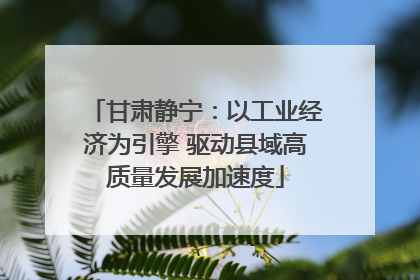 甘肃静宁：以工业经济为引擎 驱动县域高质量发展加速度