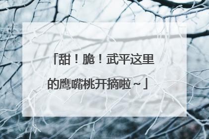甜！脆！武平这里的鹰嘴桃开摘啦～