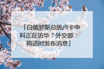 白俄罗斯总统卢卡申科正在访华？外交部：将适时发布消息