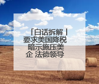 白话拆解丨要求美国降税 暗示施压美企 法德领导人同日发声