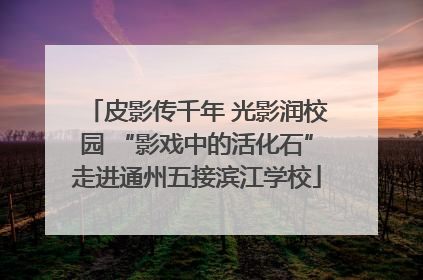 皮影传千年 光影润校园 “影戏中的活化石”走进通州五接滨江学校