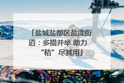 盐城盐都区盐渎街道：多措并举 助力“秸”尽其用