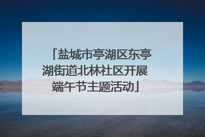 盐城市亭湖区东亭湖街道北林社区开展端午节主题活动