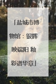 盐城市博物馆：银辉映端阳 釉彩谱华章