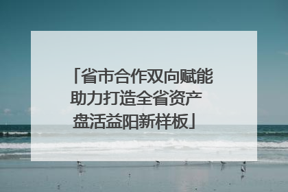 省市合作双向赋能 助力打造全省资产盘活益阳新样板
