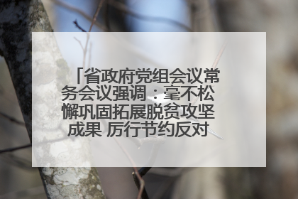 省政府党组会议常务会议强调：毫不松懈巩固拓展脱贫攻坚成果 厉行节约反对浪费弘扬优良作风