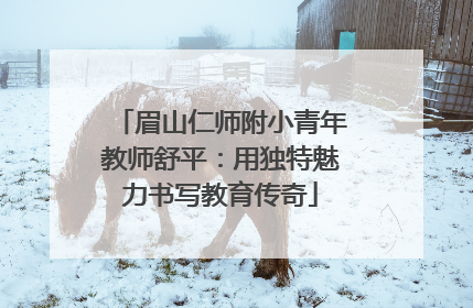 眉山仁师附小青年教师舒平：用独特魅力书写教育传奇