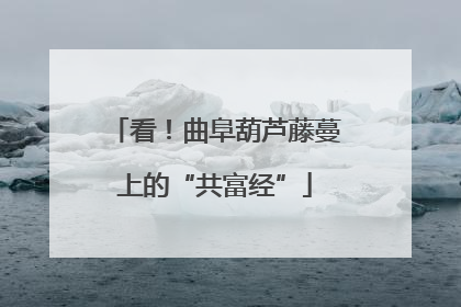 看！曲阜葫芦藤蔓上的“共富经”