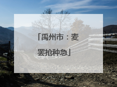 禹州市：麦罢抢种急