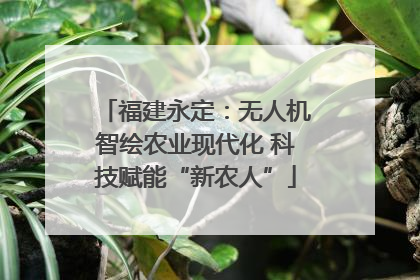 福建永定：无人机智绘农业现代化 科技赋能“新农人”