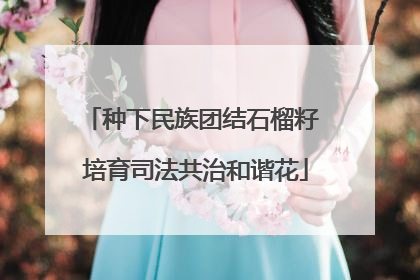 种下民族团结石榴籽 培育司法共治和谐花