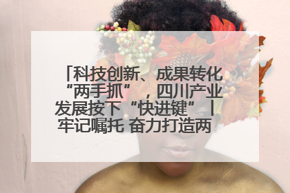 科技创新、成果转化“两手抓”，四川产业发展按下“快进键”丨牢记嘱托 奋力打造两高地两基地一屏障