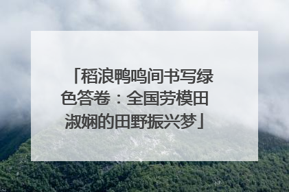 稻浪鸭鸣间书写绿色答卷：全国劳模田淑娴的田野振兴梦