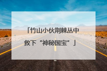 竹山小伙荆棘丛中救下“神秘国宝”
