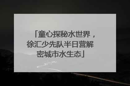 童心探秘水世界，徐汇少先队半日营解密城市水生态
