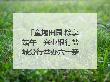 童趣田园 粽享端午｜兴业银行盐城分行举办六一亲子嘉年华活动