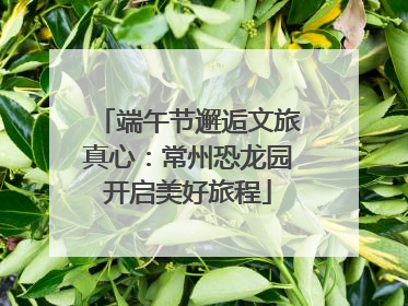 端午节邂逅文旅真心：常州恐龙园开启美好旅程