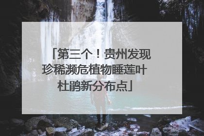 第三个！贵州发现珍稀濒危植物睡莲叶杜鹃新分布点