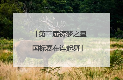 第二届铸梦之星国标赛在连起舞