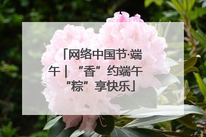 网络中国节·端午｜“香”约端午 “粽”享快乐