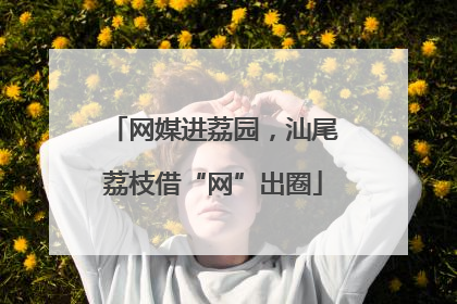 网媒进荔园，汕尾荔枝借“网”出圈