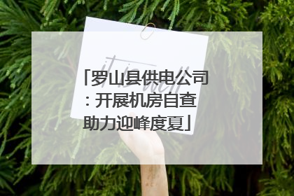 罗山县供电公司：开展机房自查 助力迎峰度夏