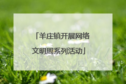 羊庄镇开展网络文明周系列活动