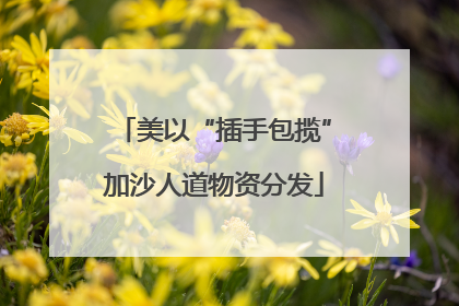 美以“插手包揽”加沙人道物资分发