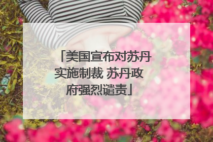 美国宣布对苏丹实施制裁 苏丹政府强烈谴责