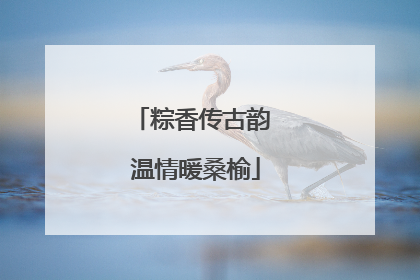 粽香传古韵 温情暖桑榆