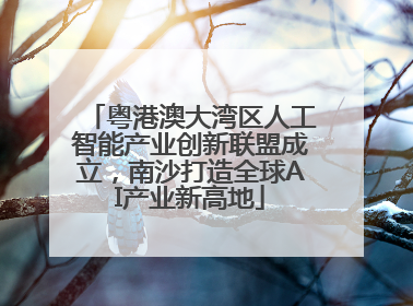 粤港澳大湾区人工智能产业创新联盟成立，南沙打造全球AI产业新高地
