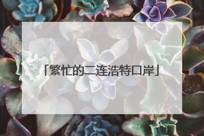 繁忙的二连浩特口岸