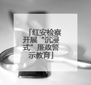红安检察开展“沉浸式”廉政警示教育