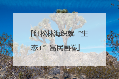 红松林海织就“生态+”富民画卷