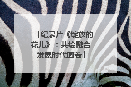 纪录片《绽放的花儿》：共绘融合发展时代画卷