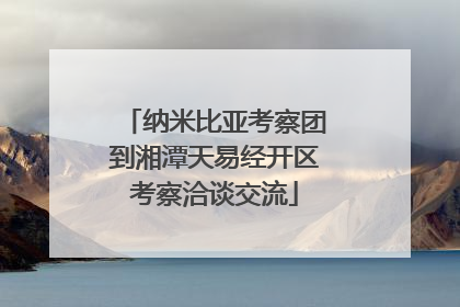 纳米比亚考察团到湘潭天易经开区考察洽谈交流